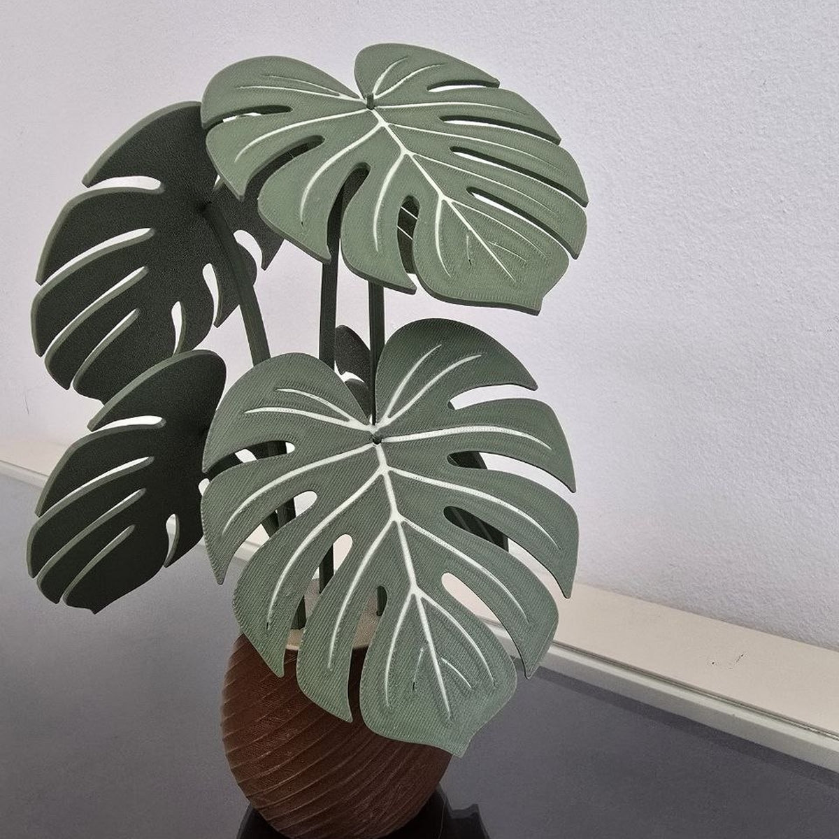 Monstera Duradera y Funcional